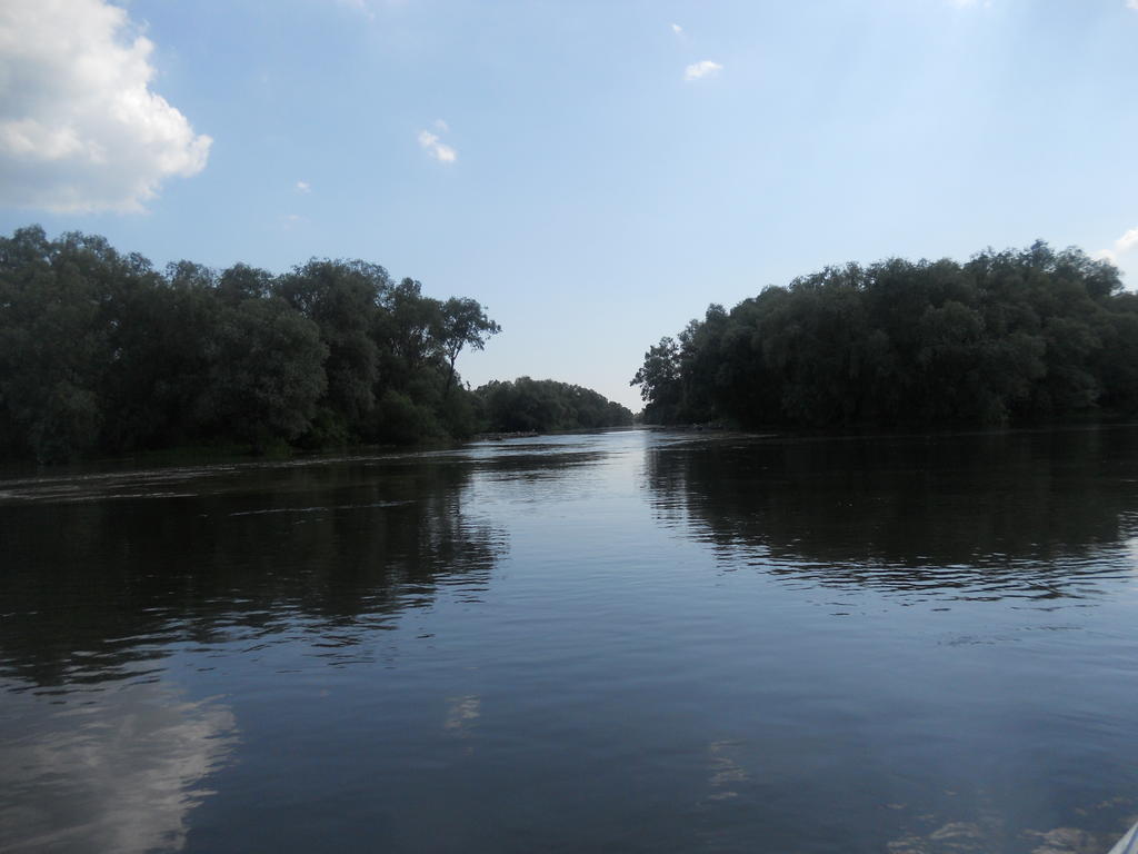 Pensiunea Cristal Tulcea Bagian luar foto