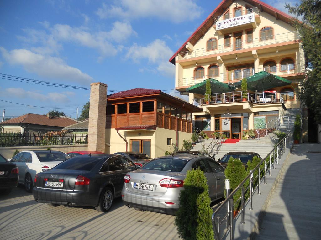Pensiunea Cristal Tulcea Bagian luar foto
