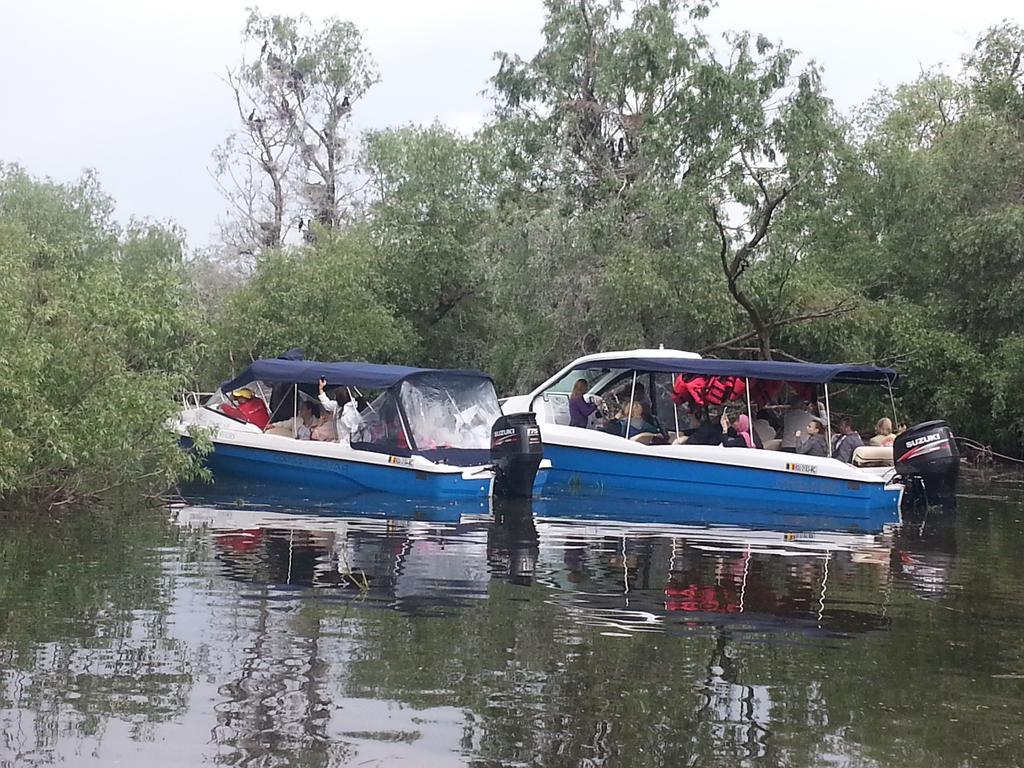 Pensiunea Cristal Tulcea Bagian luar foto