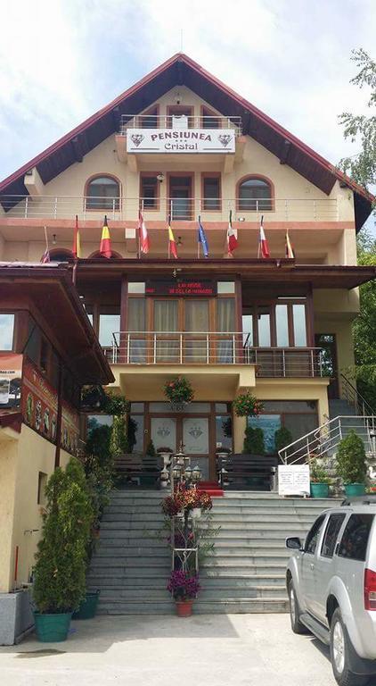 Pensiunea Cristal Tulcea Bagian luar foto